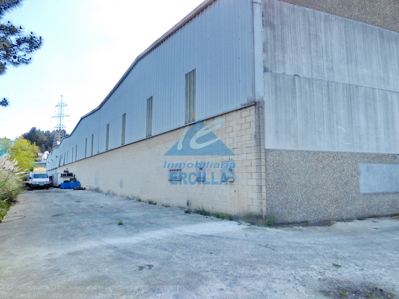 Imagen de Nave industrial con muelles de carga en Arrigorriaga